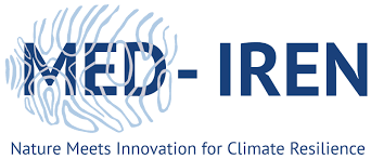 LOGO MED IREN